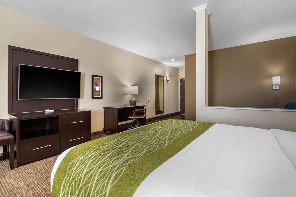 Comfort Inn & Suites Cedar Rapids CID Eastern Iowa Airport - photo 37