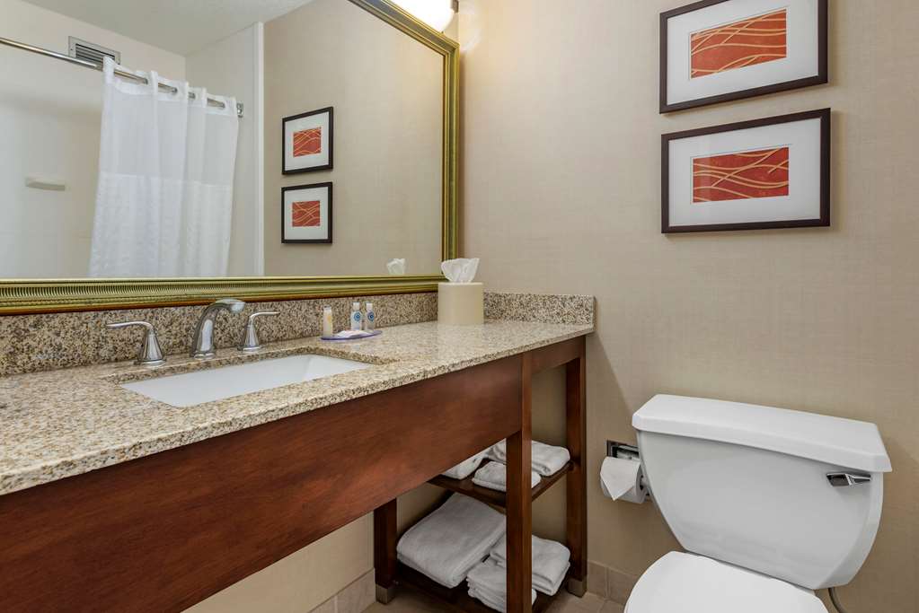 Comfort Inn Lancaster County North - photo 14