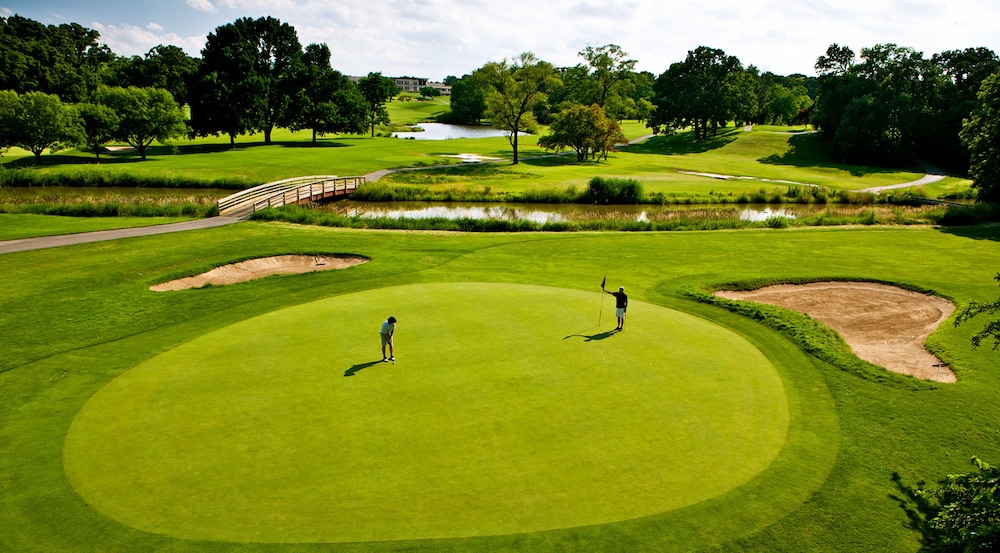 Eaglewood Resort and Spa - photo 29
