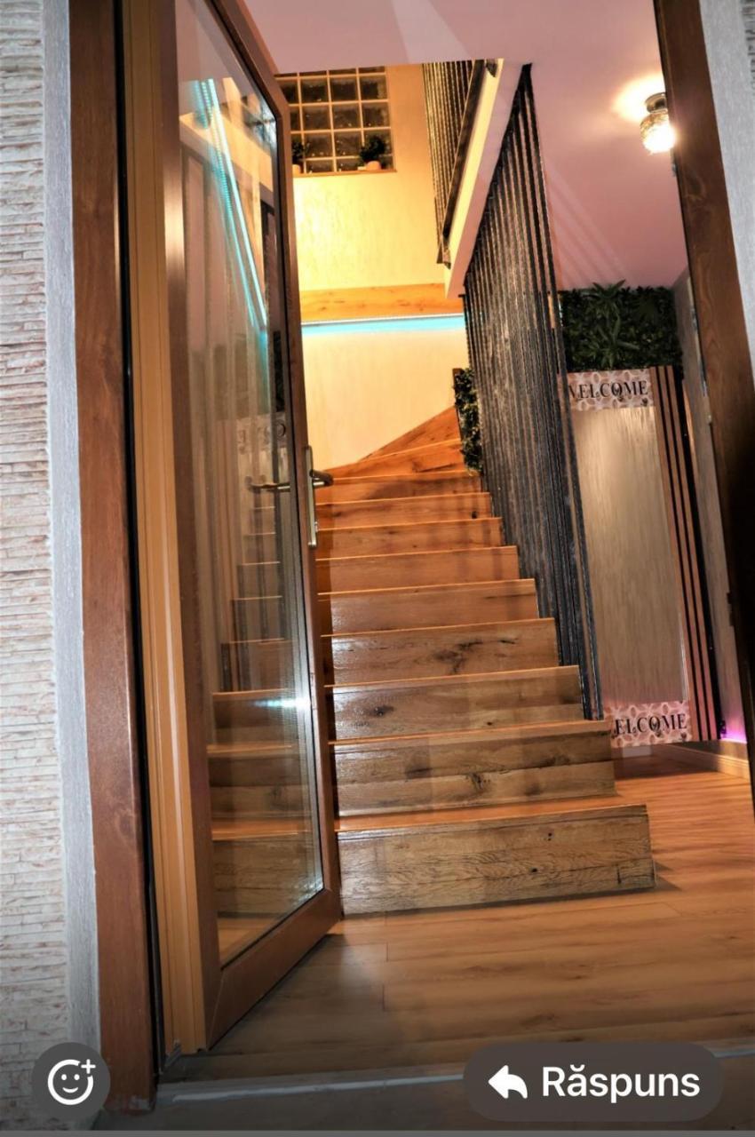 Muz in Filiasi, Romania