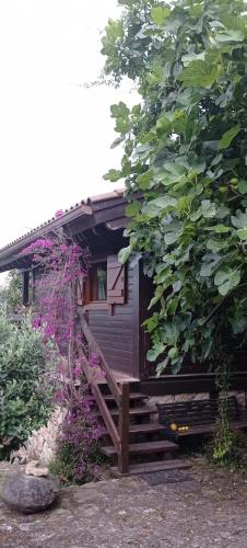 Acogedora Cabana Con Piscina in Pontevedra, Spain