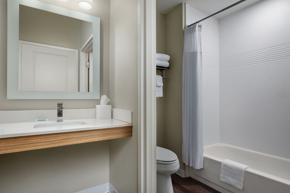 TownePlace Suites by Marriott Lafayette South - photo 22