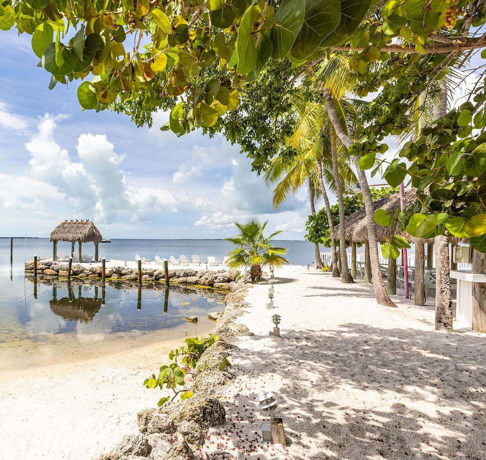 Amoray Dive Resort - photo 155