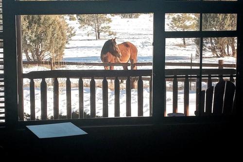 Cabin with Wild Horses Fireplace Dog Friendly & StarLink — 4-Star Luxury Hotel in Heber, United States