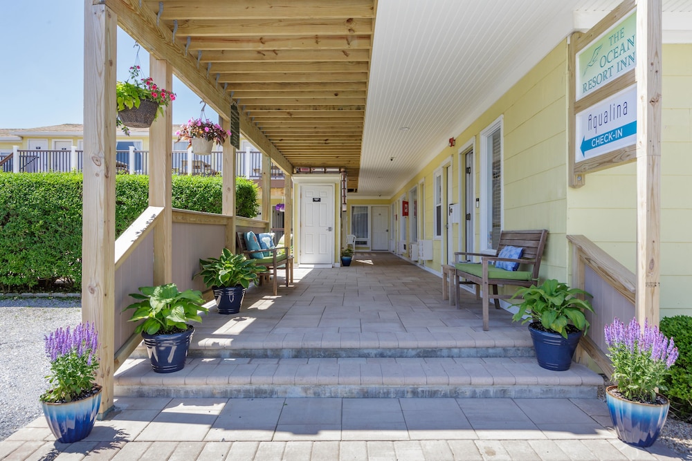 Ocean Resort Inn - photo 73