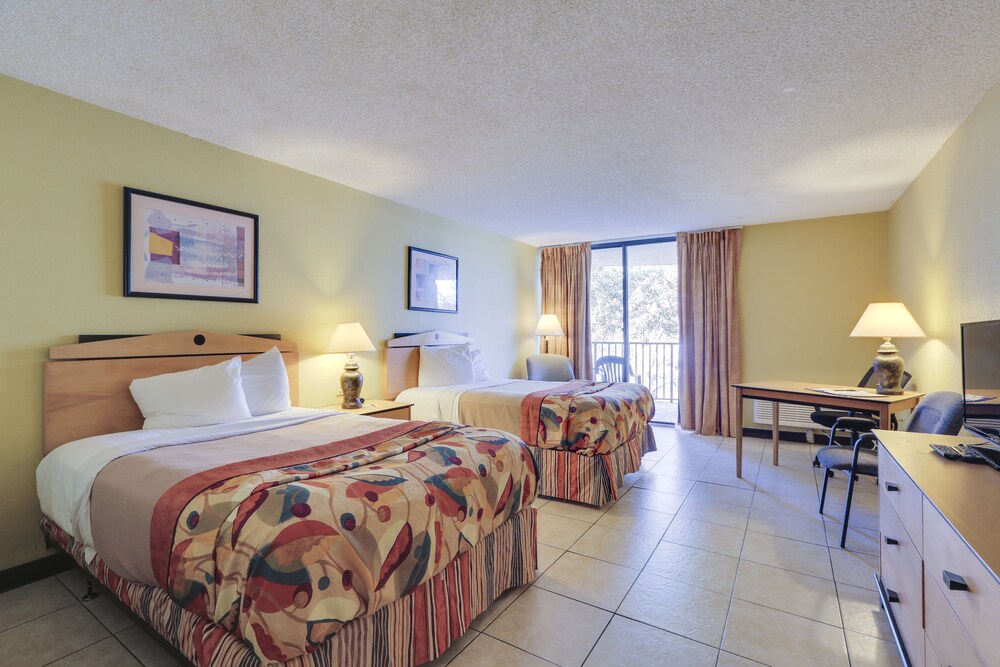 Vista Inn Lake Tarpon - photo 6