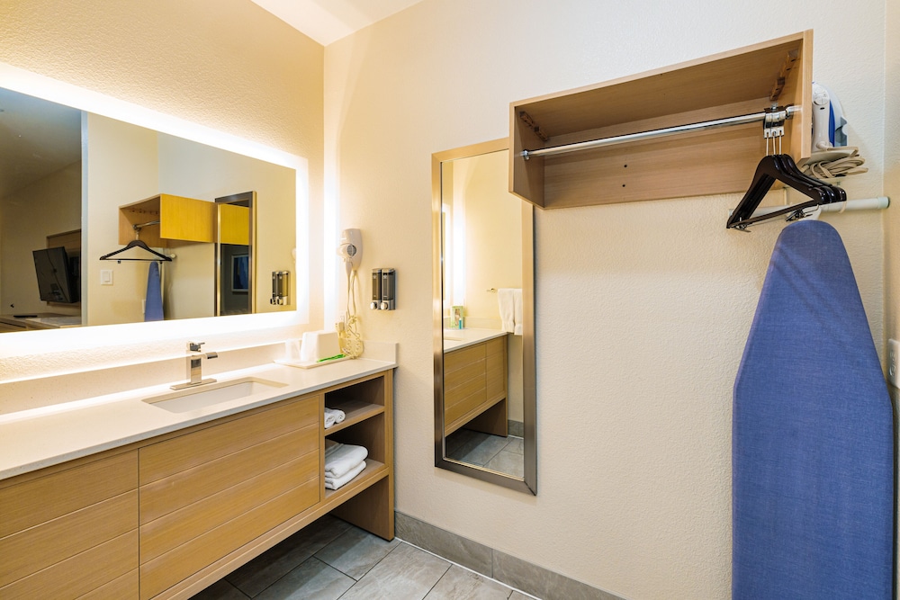 Palace Inn IAH Houston Bush Intercontinental Airport - photo 13