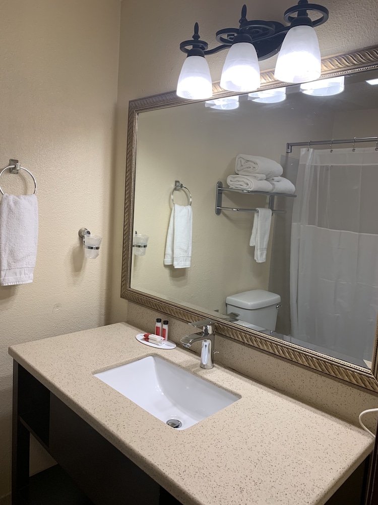 Sutton Suites Hotel - photo 12