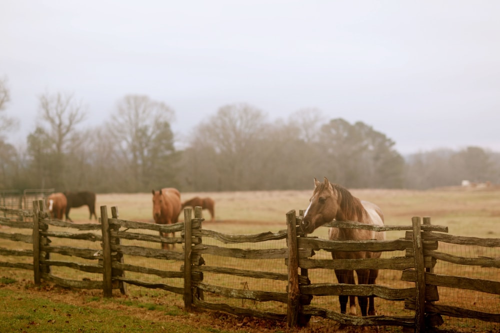 Seventy four Ranch - photo 22