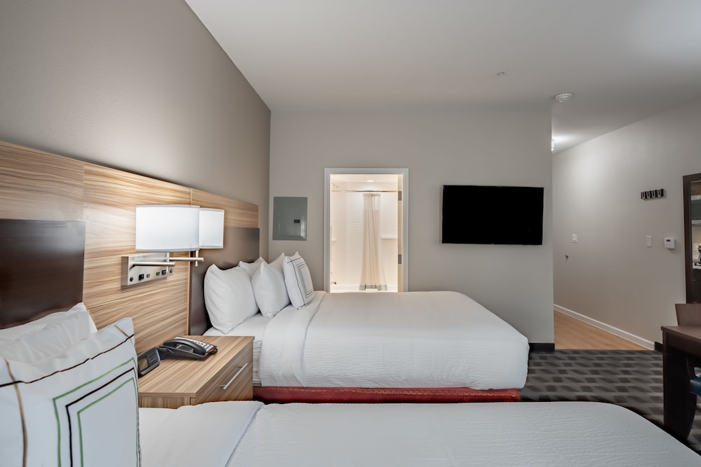 TownePlace Suites by Marriott Dallas Mesquite - photo 8