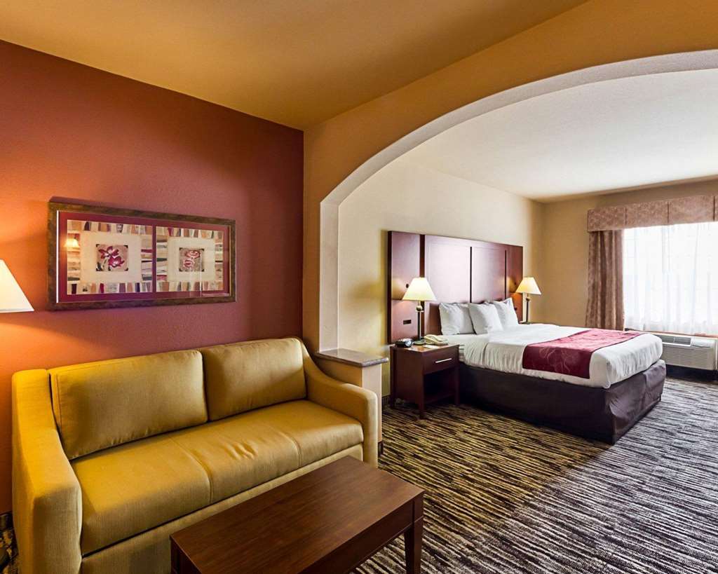Comfort Suites McAllen Airport and La Plaza Mall - photo 8