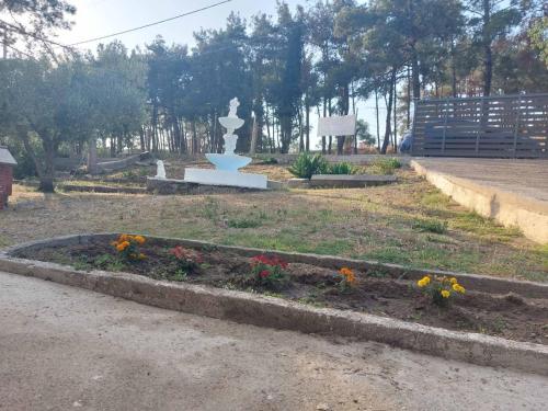 Liostasi Hοuse — Alexandroupoli — photo 4