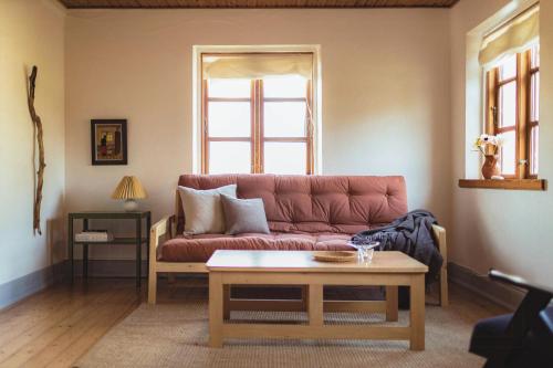 Cattle And Horses At Lundstedet At Skovsgaard in Rudkobing, Denmark