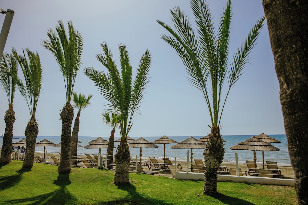 שטחי חוץ / גן