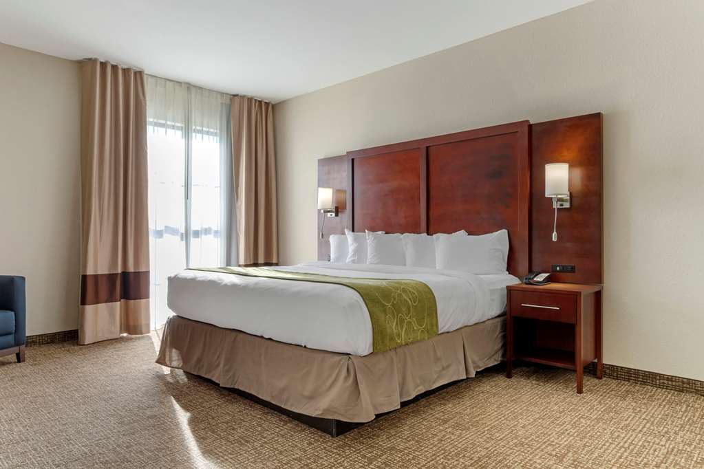 Comfort Suites Piedmont Greenville South - photo 19