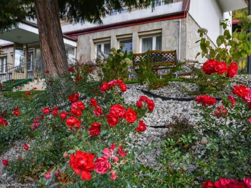 Dom Wczasowy Sokolica - carbon neutral hotel in Krynica-Zdroj