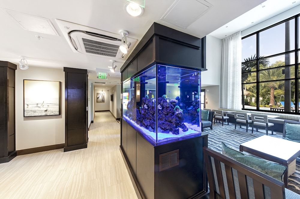 Staybridge Suites Naples Marco Island an IHG Hotel - photo 5