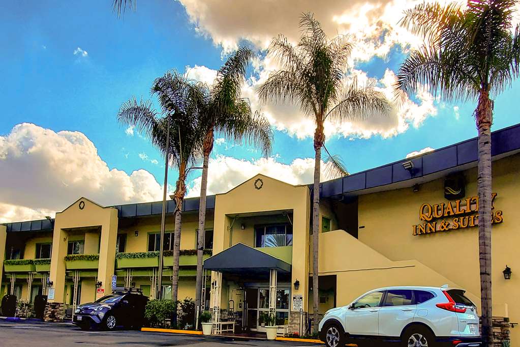 Quality Inn & Suites Anaheim At The Park - photo 3
