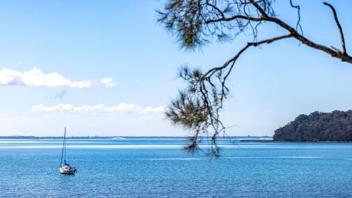 Foreshore Delight — Salamander Bay — photo 3