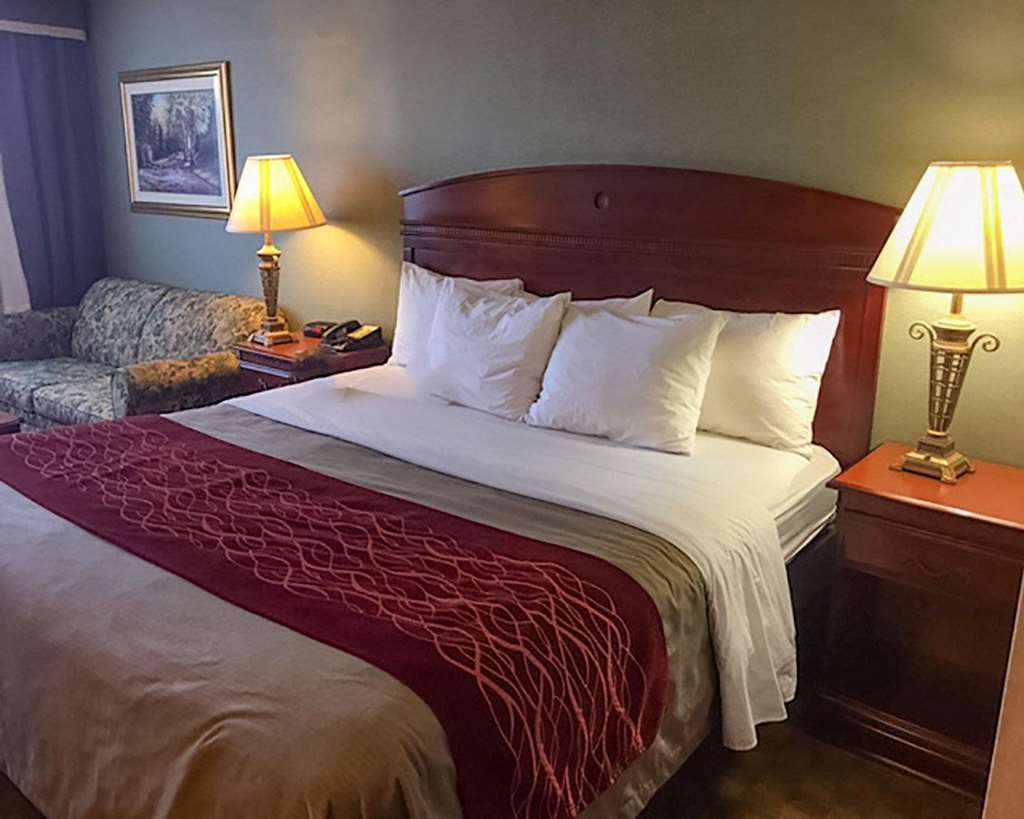 Comfort Inn Springfield - photo 6