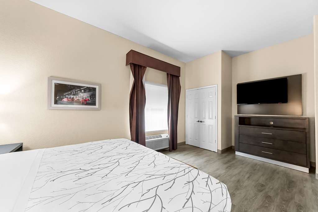 Best Western Boerne Inn & Suites - photo 24