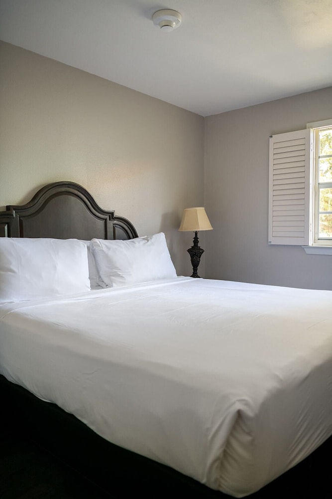 French Quarter Suites Hotel - photo 30