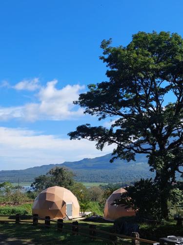 Pura Vista Glamping in Alajuela, Costa Rica