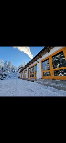 Winter Forest Vlasic in Sisava, Bosnia and Herzegovina