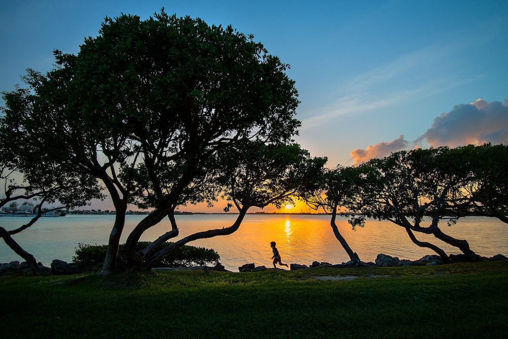 Hawks Cay Resort - photo 235