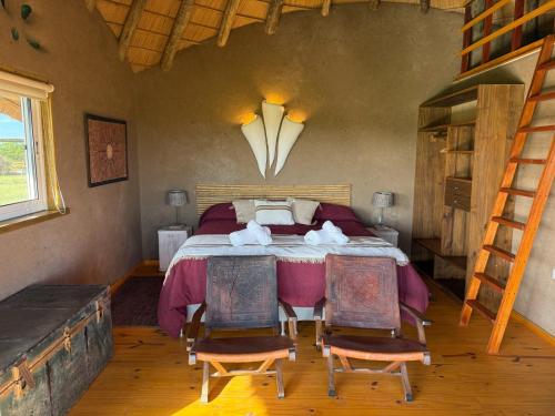 Los Chajá Ecolodge — Unknown City — photo 3