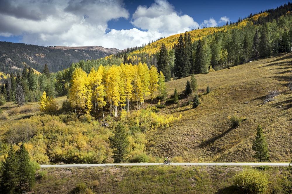 Residence Inn by Marriott Breckenridge - photo 38