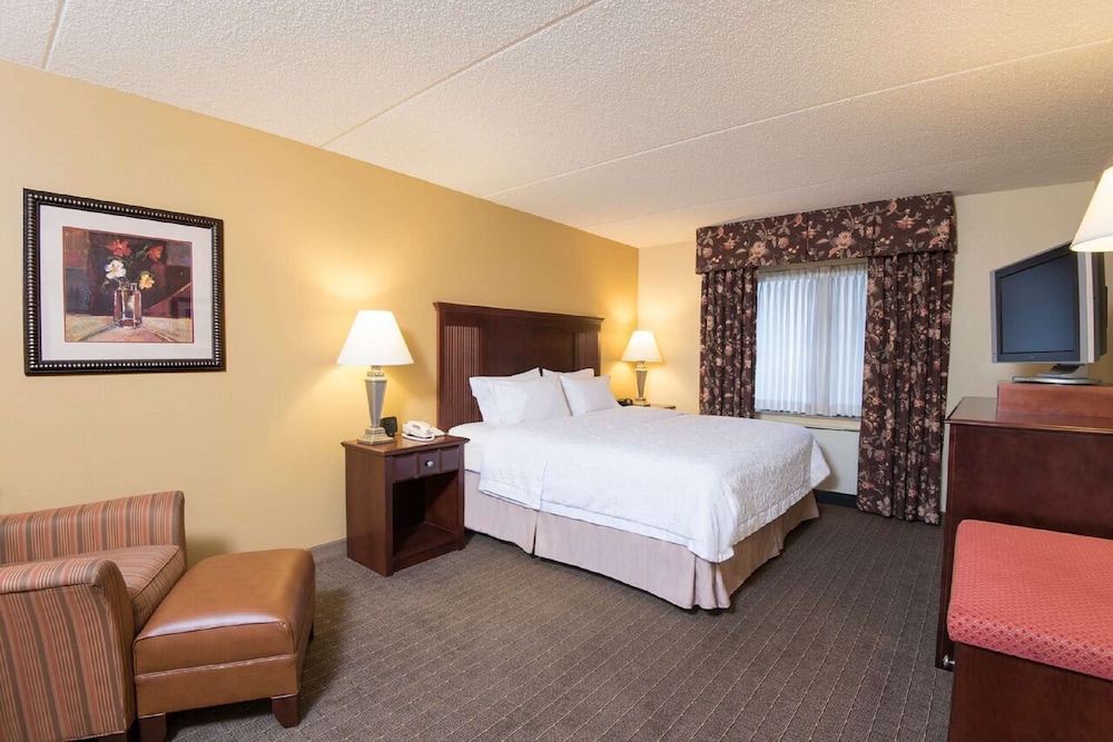 Hampton Inn Schenectady Downtown - photo 9