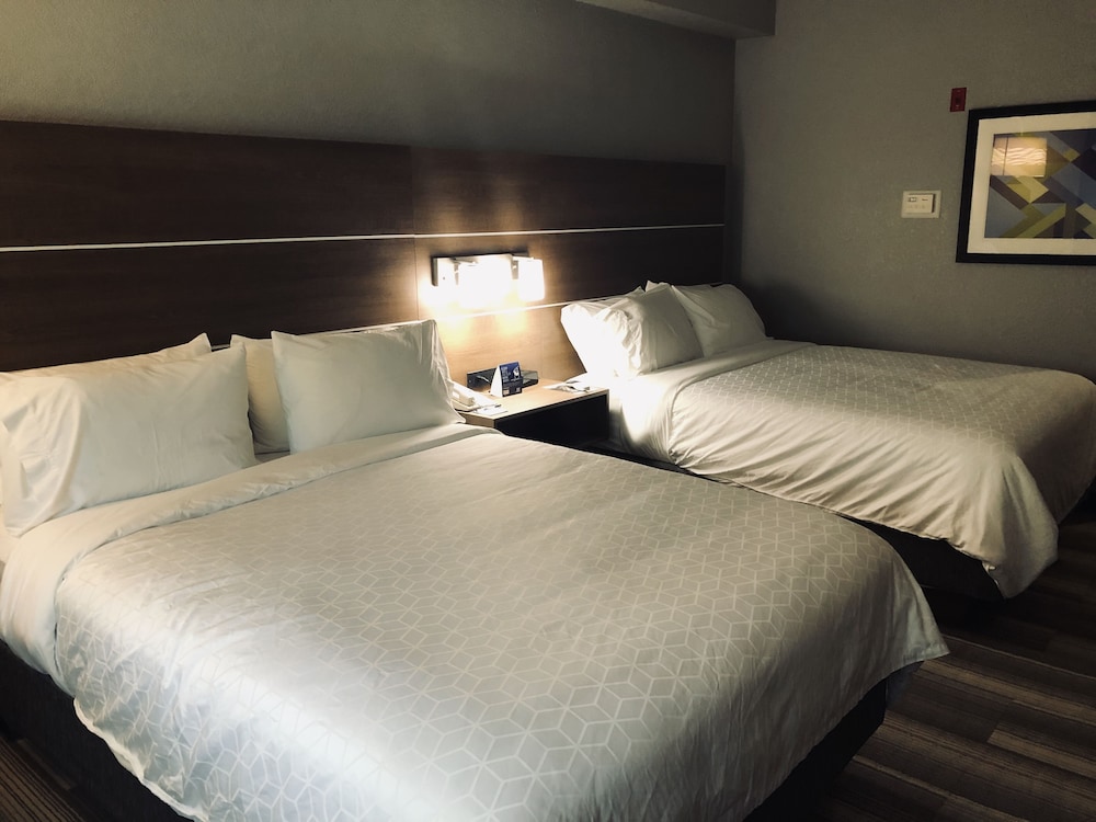Holiday Inn Express & Suites West Palm Beach Metrocentre by IHG - photo 26