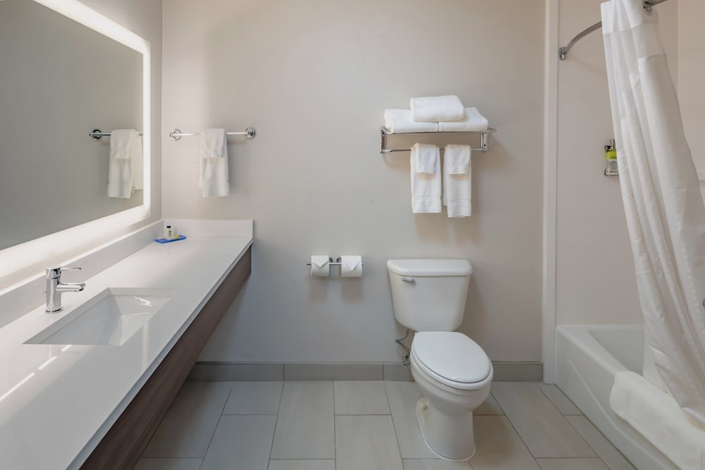Holiday Inn Express & Suites N Waco Area West by IHG - photo 27