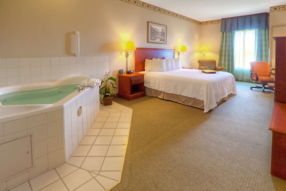 Hampton Inn Great Falls - photo 11