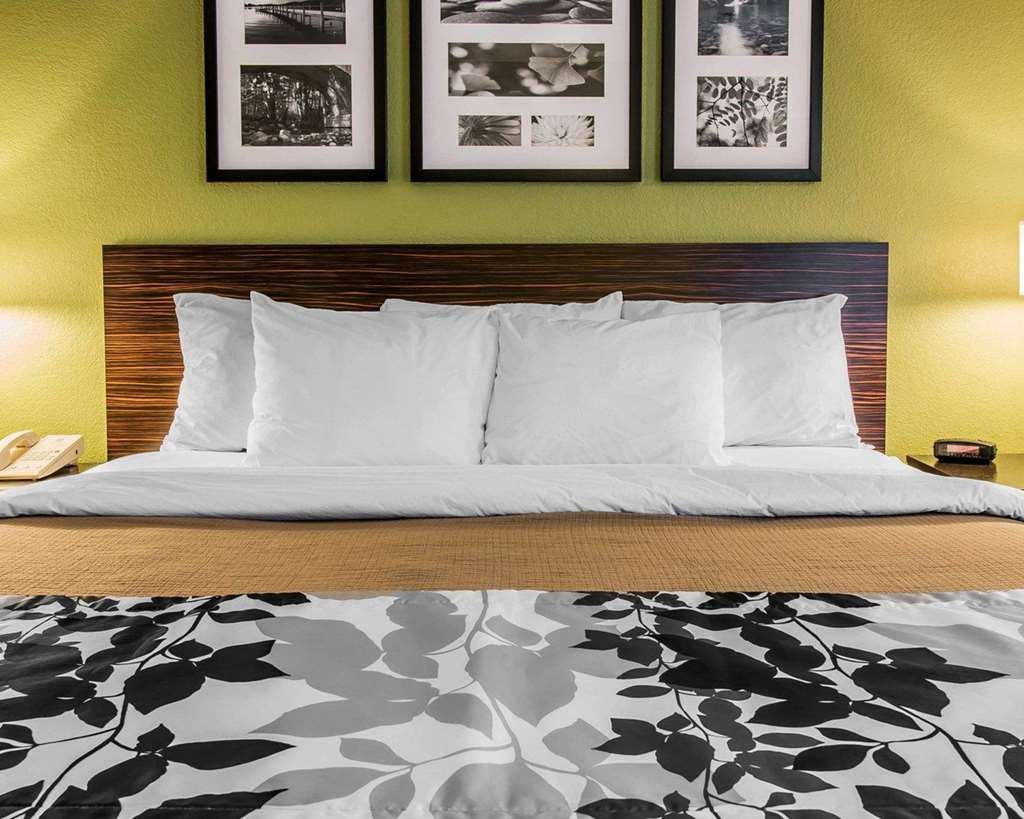 Sleep Inn Midland Bay City West - photo 19