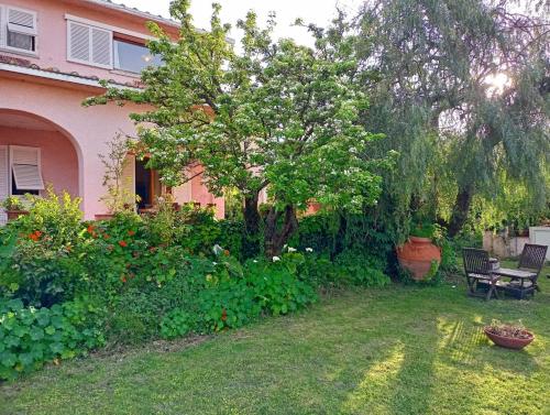 Villa Ontanelli 500mt dal mare — 4-Star Luxury Hotel in Marciana Marina, Italy