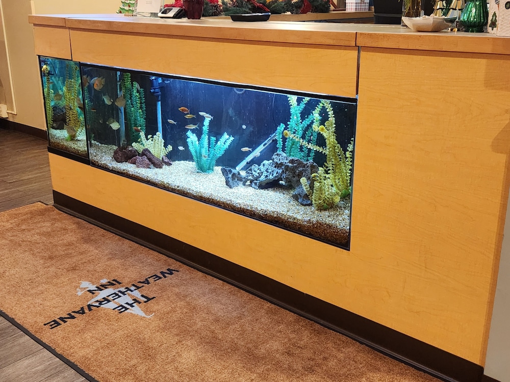 The Weathervane Inn - photo 4