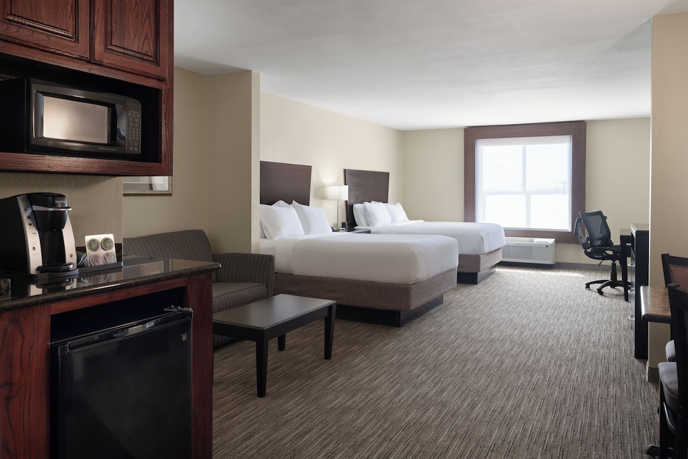 Holiday Inn Express &Suites Snyder by IHG - photo 14