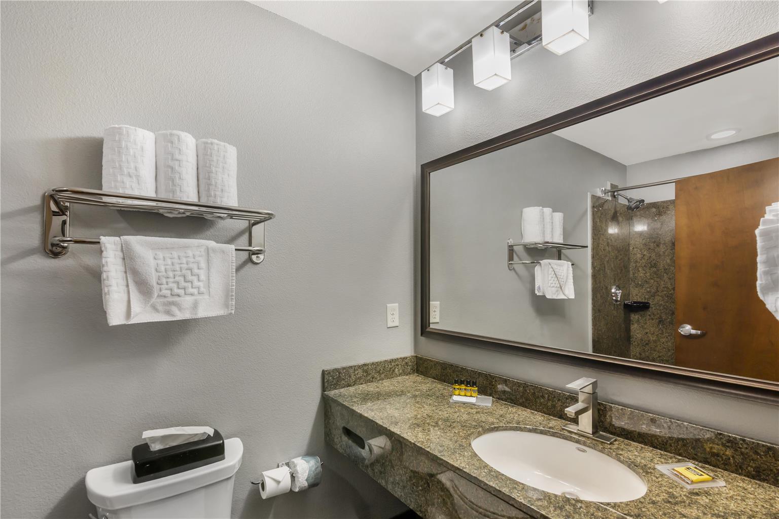 Best Western Plus Williston Hotel & Suites - photo 23