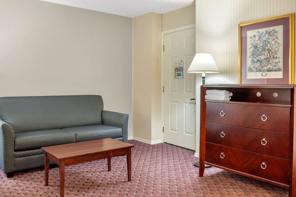 Wintergreen Hotel & Conference Center - photo 35
