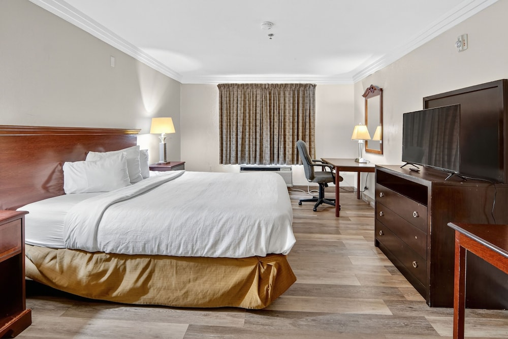 Robinson Inn and Suites - photo 9