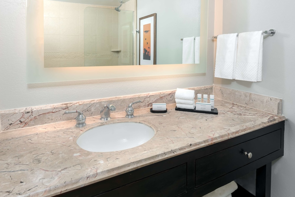 Embassy Suites by Hilton Dallas Park Central Area - photo 23