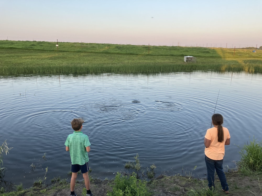 Sycamore Springs - photo 28