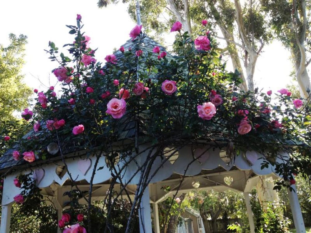 Kaleidoscope Inn & Gardens - photo 93