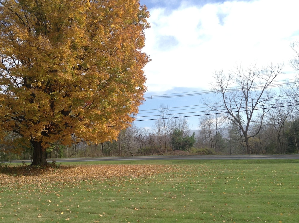 Starlight Inn - photo 18