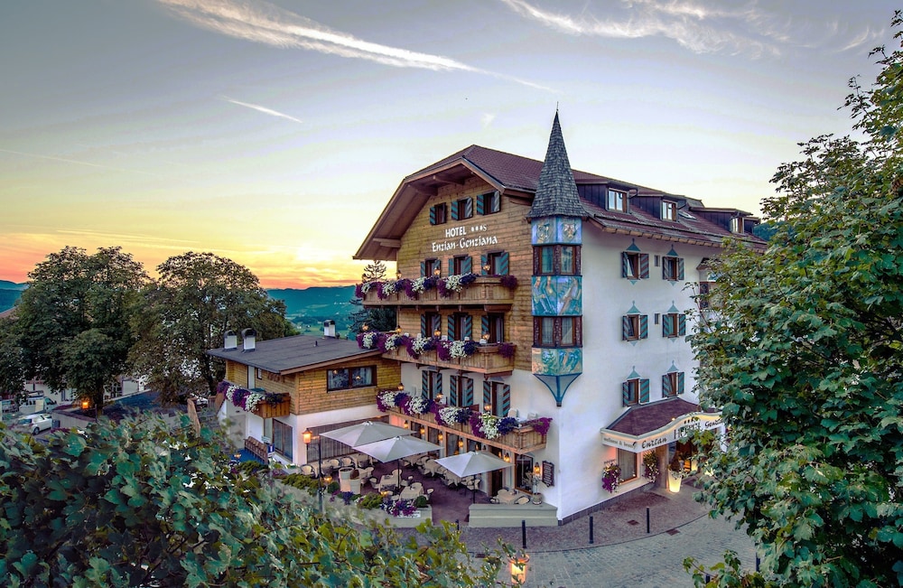 Enzian Genziana in Castelrotto, Italy