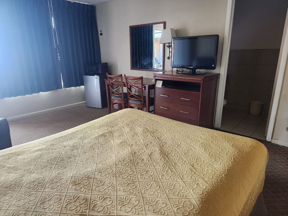 Royal Motel - photo 17