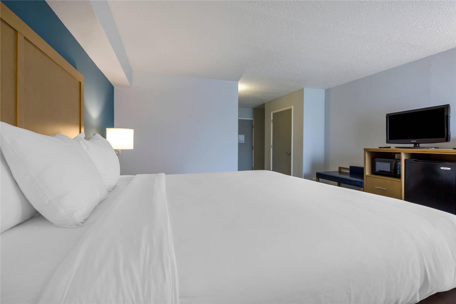 Comfort Inn & Suites Alexandria West - photo 7