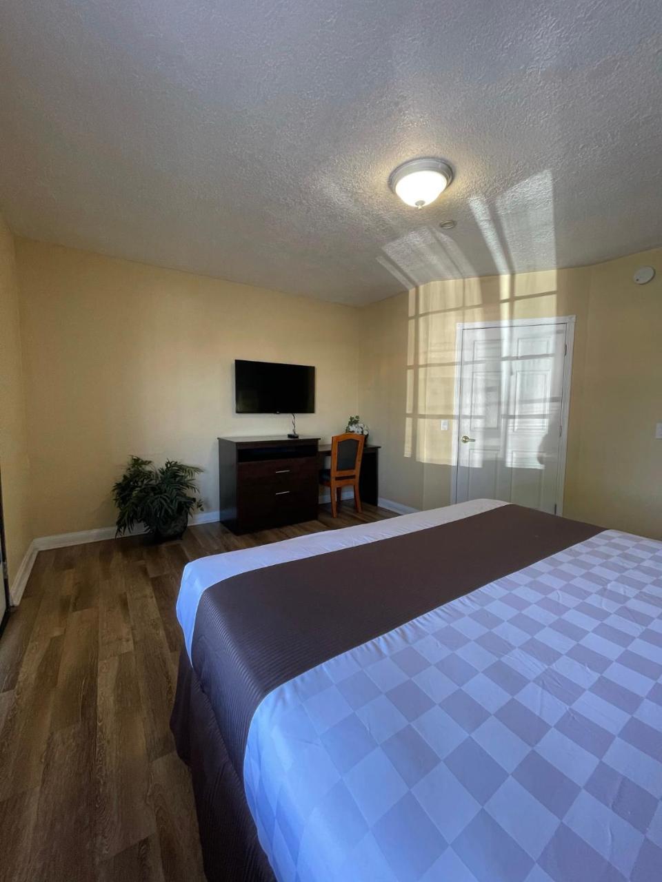 Palm Tropics Motel - photo 5